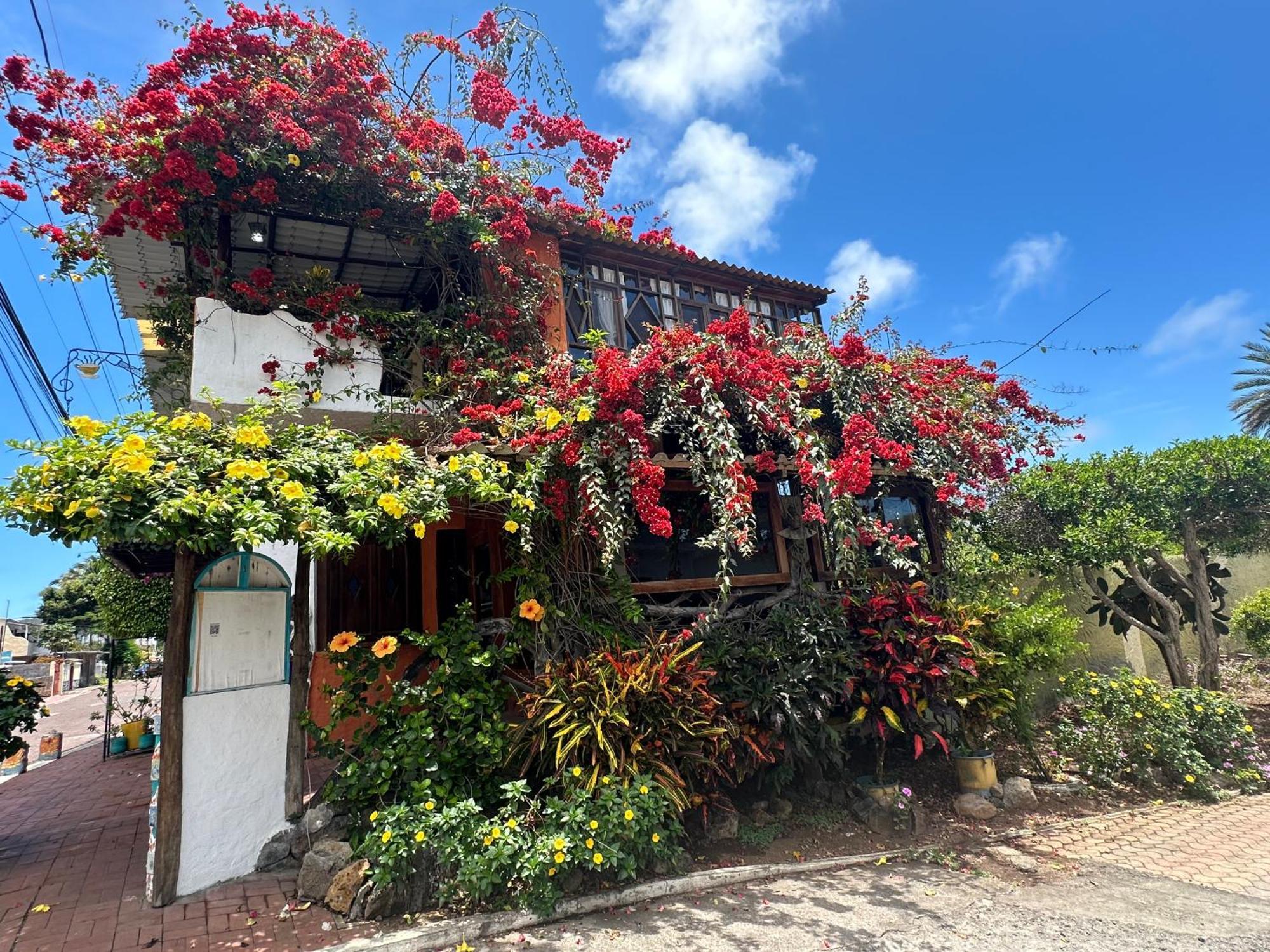 Casa Del Lago Lodging House Puerto Ayora  Exterior photo